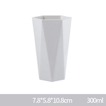 Load image into Gallery viewer, Household Washing Cup Couple Brushing Cups Plastic Creative Simple Nordic Toothbrush Cup Mug
